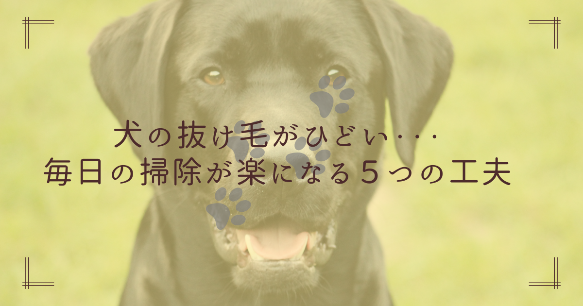 犬の抜け毛がひどい。掃除が楽になる方法